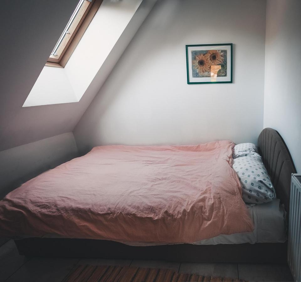 Apartma Soncek, On The Ski Slopes, Balcony, Private Parking كْرانْيِسكا غورا المظهر الخارجي الصورة